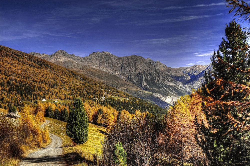 Mountain bike adventure in the heart of the Alps – the Alta Valtellina Bike Marathon