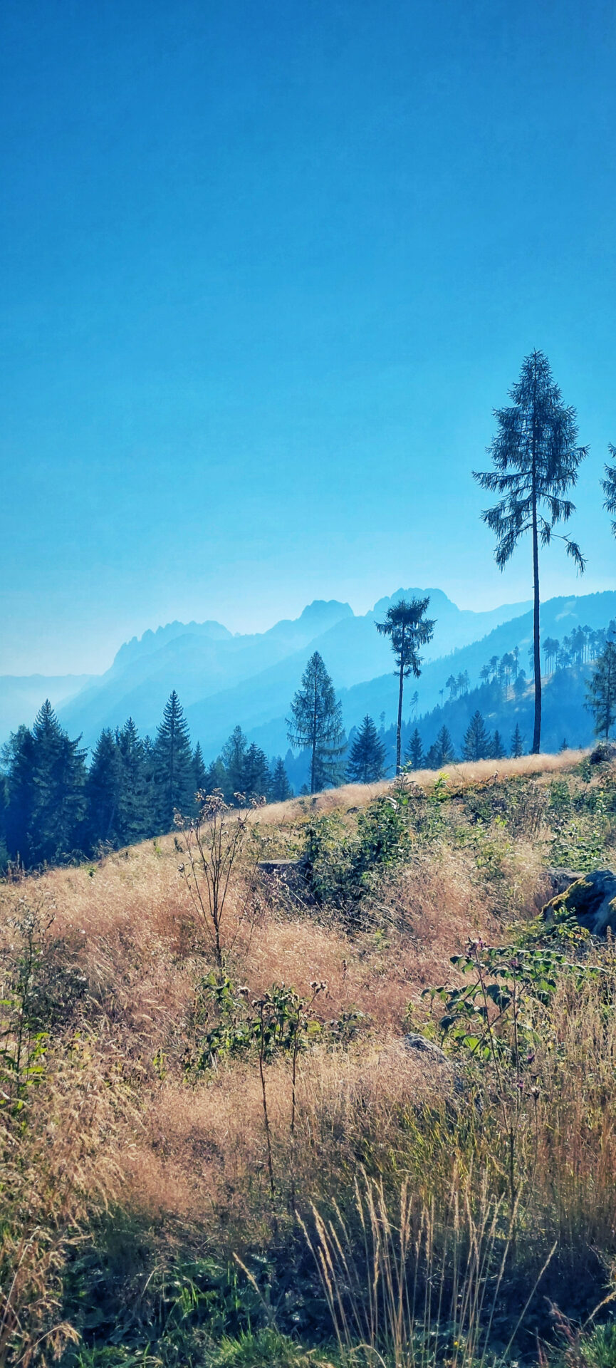 STONEMAN Dolomiti Trail
