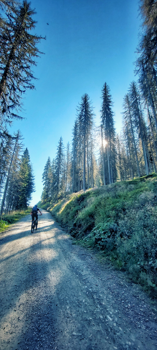 STONEMAN Dolomiti Trail